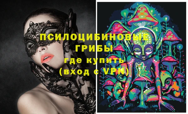 мдпв Нея