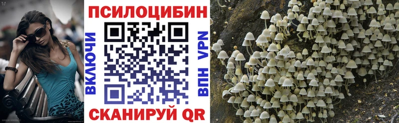 Галлюциногенные грибы Psilocybine cubensis  Кущёвская 