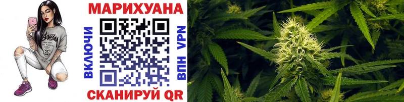 Конопля SATIVA & INDICA  гидра   Кущёвская 